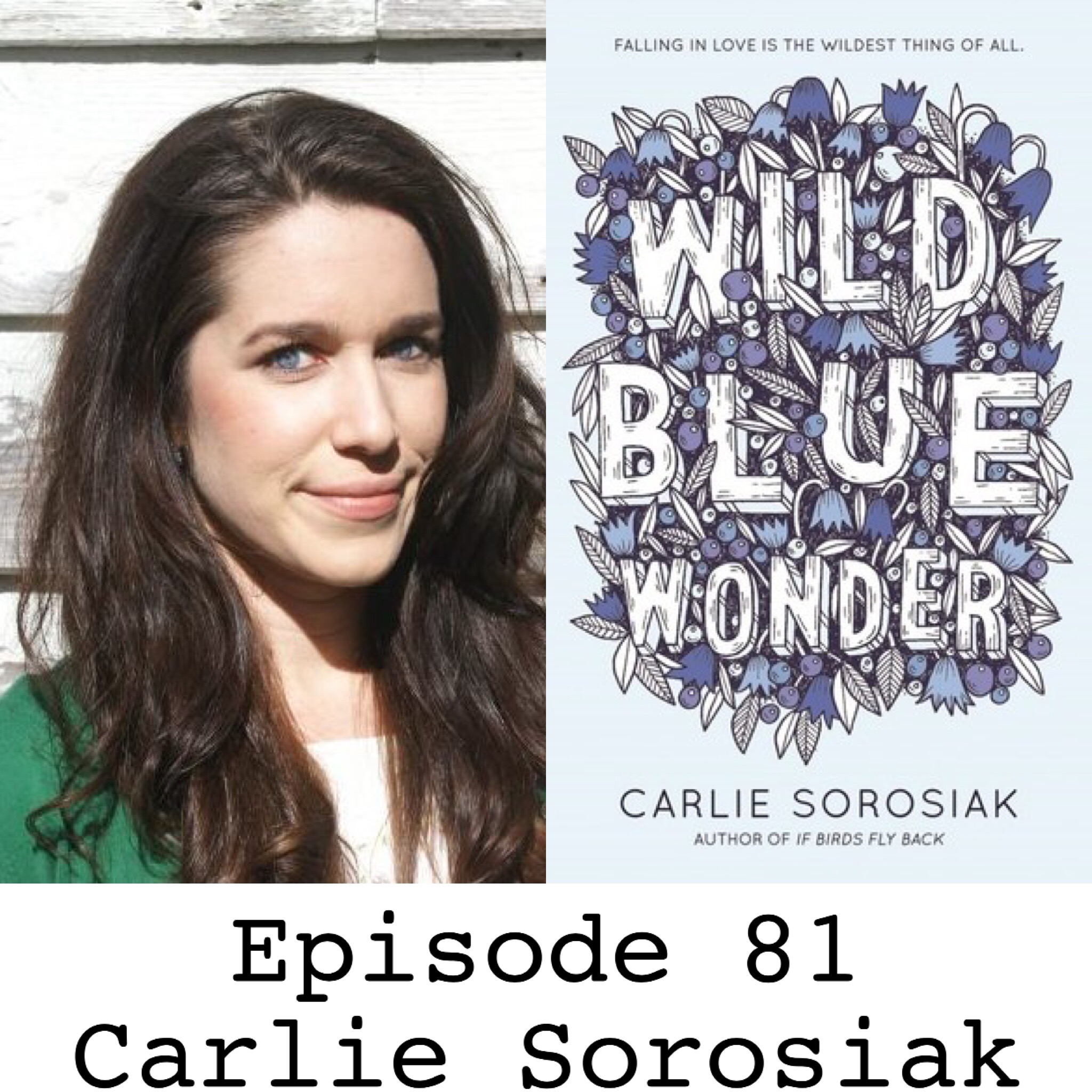 Wild Blue Wonder by Carlie Sorosiak